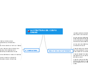 LA STRUTTURA DEL CORPO UMANO - Mappa Mentale