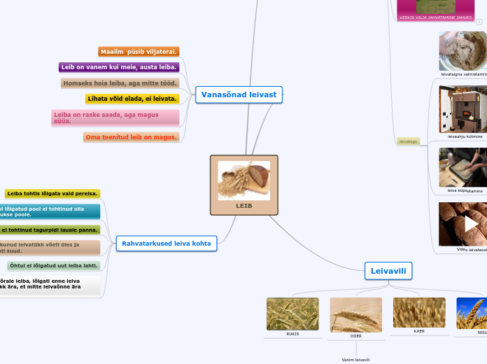 LEIB - Mind Map