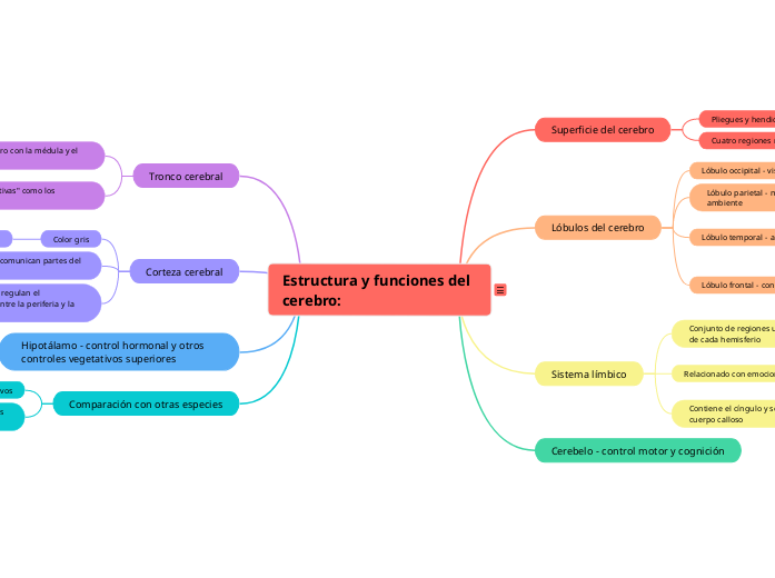 Estructura y funciones del cerebro: