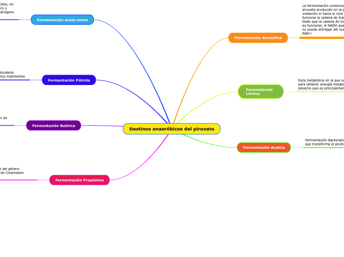 Destinos anaeróbicos del piruvato - Mapa Mental