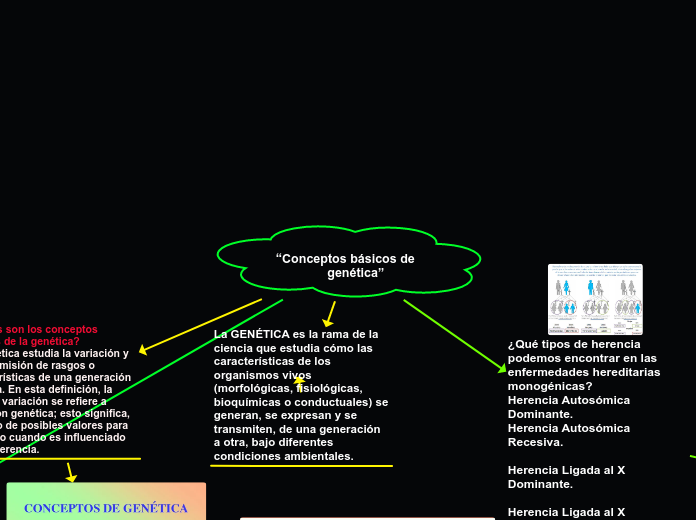 “Conceptos básicos de      genética” - Mapa Mental