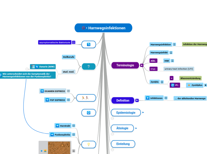 • Harnwegsinfektionen - Mindmap