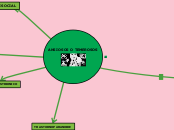 TRANSTORNOS DE PERSONALIDAD - Mapa Mental