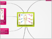 GLANDULAS ENDOCRINAS - Mapa Mental