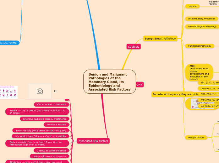 Benign and Malignant Pathologies of the Mammary Gland, its Epidemiology and Associated Risk Factors
