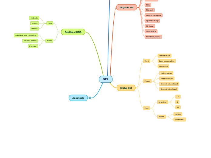 SEL - Mind Map