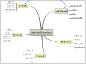 Natural Disasters - Mind Map