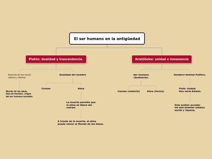 El ser humano en la antigûedad - Mapa Mental
