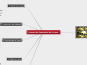 Proceso De Producción De La Lana - Mapa Mental
