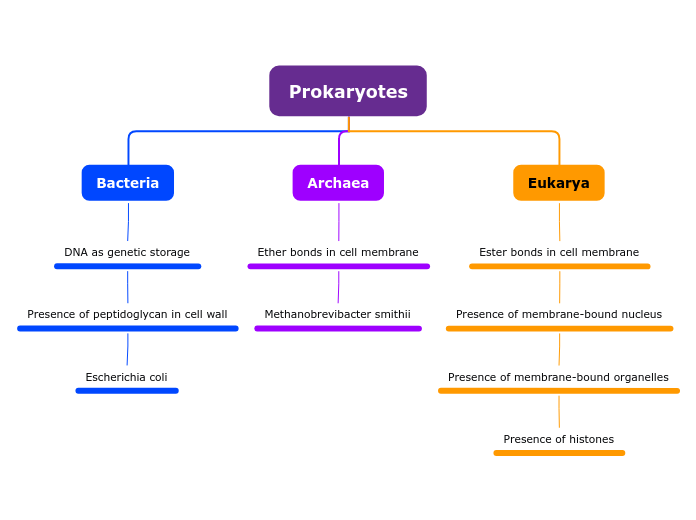 Prokaryotes - Mind Map
