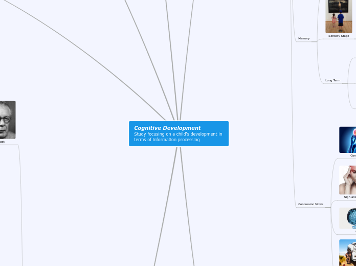 Cognitive Development Study focusing on a child's development in terms of information processing 