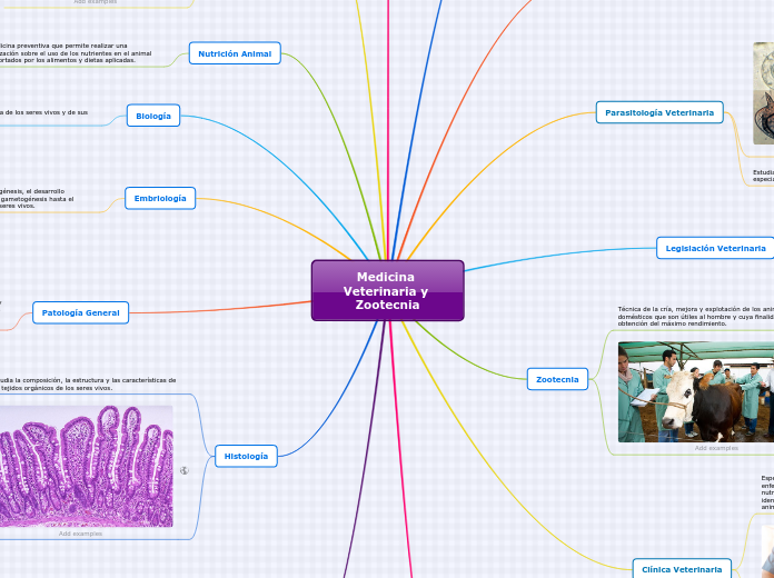 Medicina Veterinaria y Zootecnia - Mapa Mental