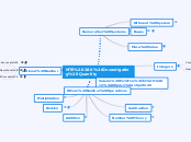MTE 280 Investigating Quantity - Mind Map