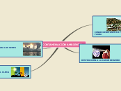 Sample Mind Map - Mapa Mental