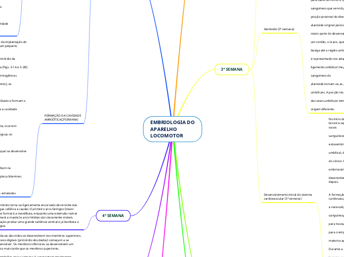 EMBRIOLOGIA DO
APARELHO
LOCOMOTOR - Mapa Mental