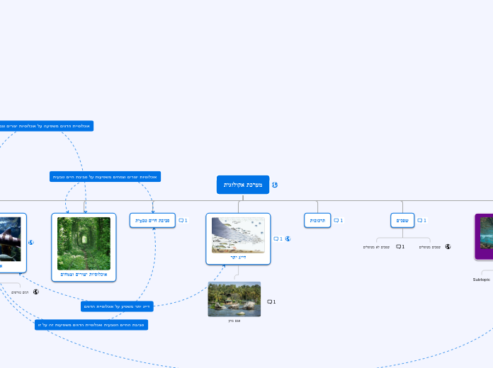 Organigram