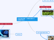 SOCIEDADES - MERCADEO Y LOGISTICA - Mapa Mental