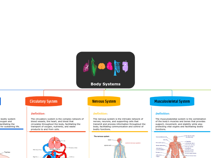 Body Systems Unraveled 