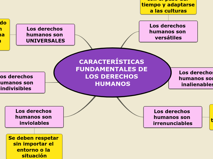 CARACTER&Iacute;STICAS FUNDAMENTALES DE LOS DERECHOS HUMANOS 