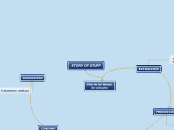 STORY OF STUFF - Mapa Mental