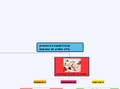 proceso de trazabilidad empresa de poll...- Mapa Mental