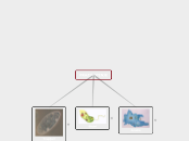 prazivotinje - Mindmap