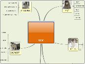 ulv - Mind Map