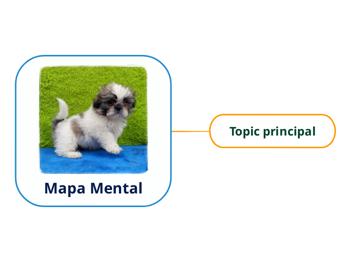 Mapa Mental - Mapa Mental