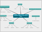 Caffeine's Effect on the Human    Brain - Mind Map