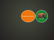 Estaciones del año - Mapa Mental