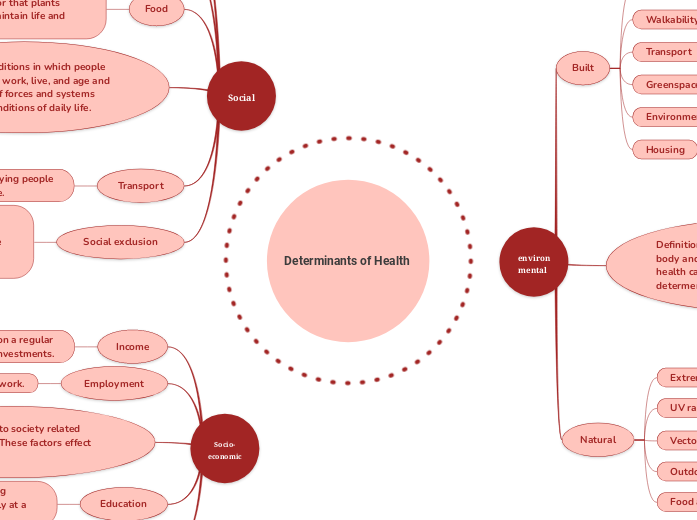 Determinants of Health  - Mind Map