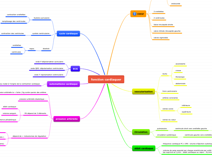 fonction cardiaquer - Carte Mentale