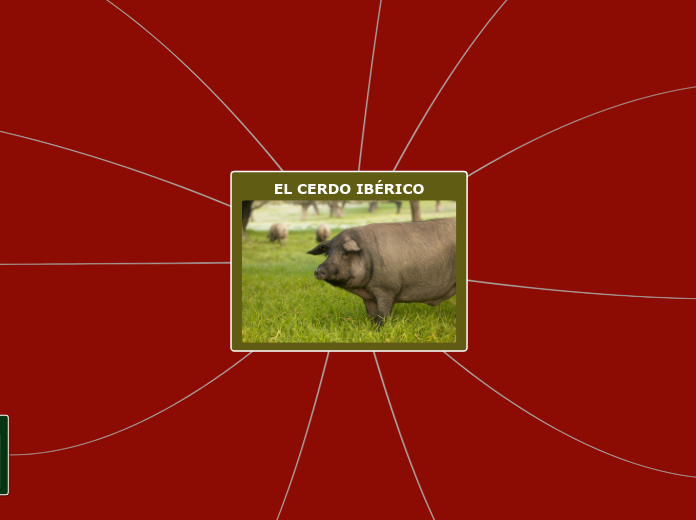 EL CERDO IBÉRICO - Mapa Mental