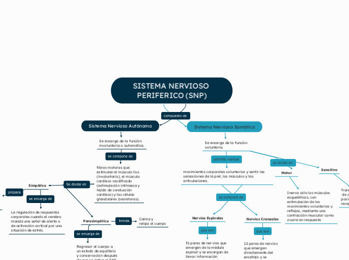 SISTEMA NERVIOSO PERIFERICO (SNP)