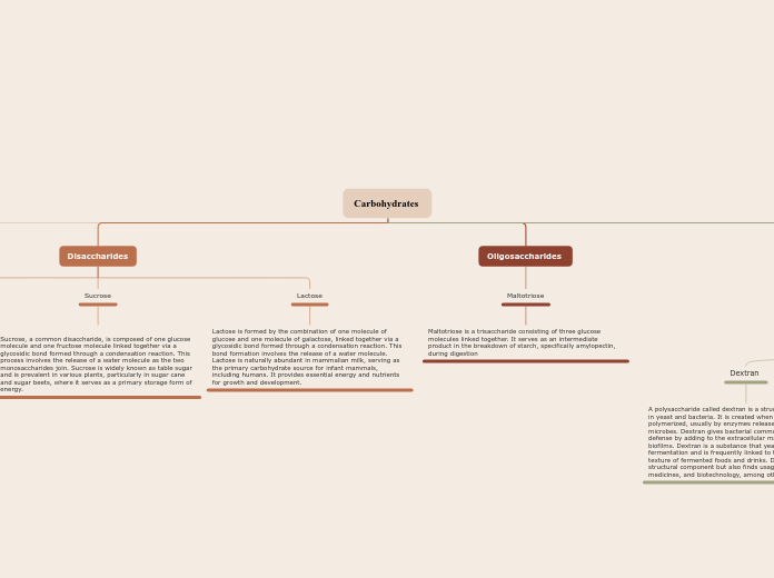 Carbohydrates  - Mind Map