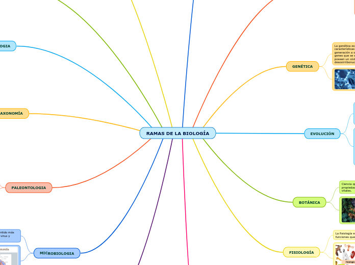 RAMAS DE LA BIOLOGÍA - Mapa Mental