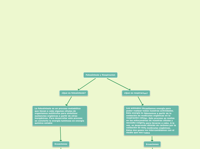 Fotosíntesis y Respiracion - Mapa Mental