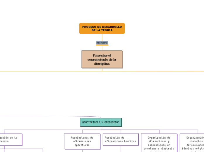 PROCESO DE DESARROLLO DE LA TEORIA