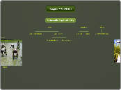 Chapter 12 UPDATE - Mind Map