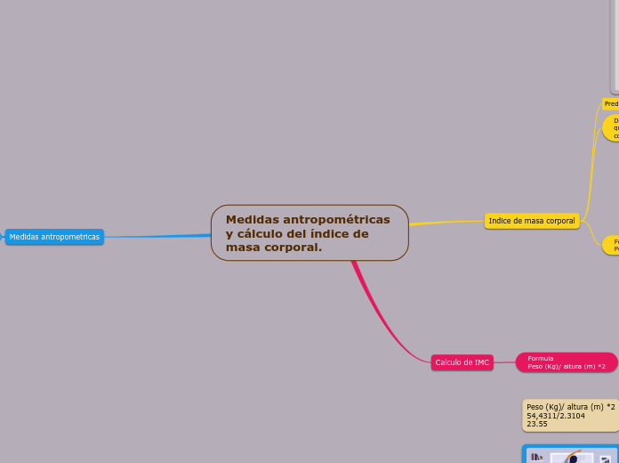 Medidas antropométricas y cálculo del í...- Mapa Mental