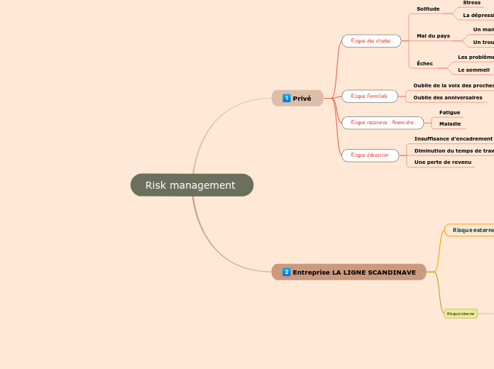 Risk management  - Carte Mentale
