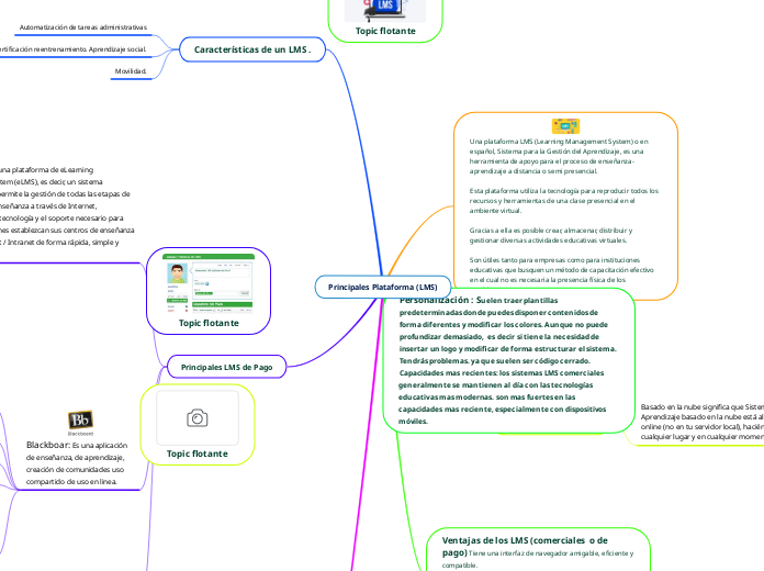 Principales Plataforma (LMS)