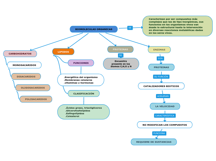 BIOMOLECULAS ORGANICAS - Mapa Mental