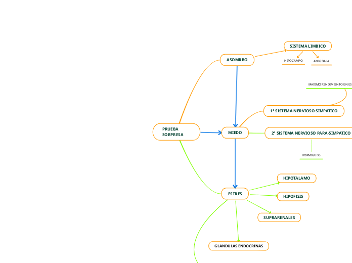 PRUEBA SORPRESA - Mapa Mental