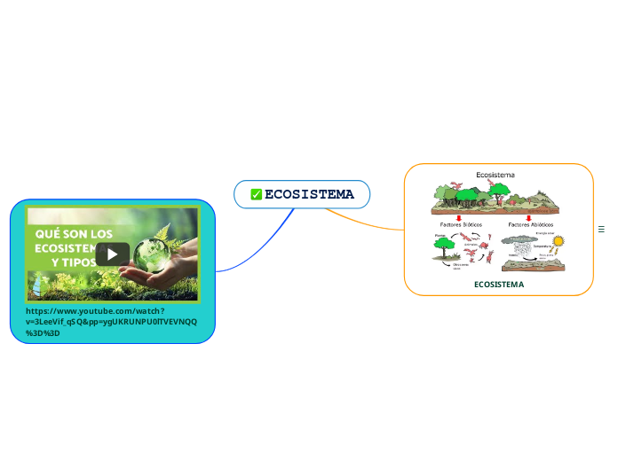 ECOSISTEMA - Mapa Mental