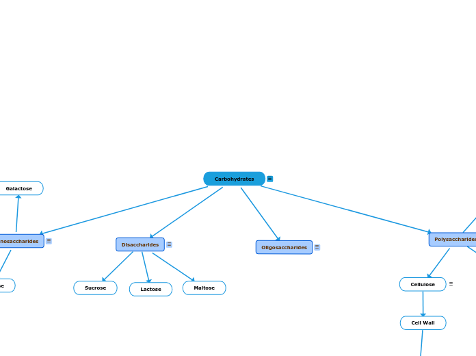 Carbohydrates - Mind Map