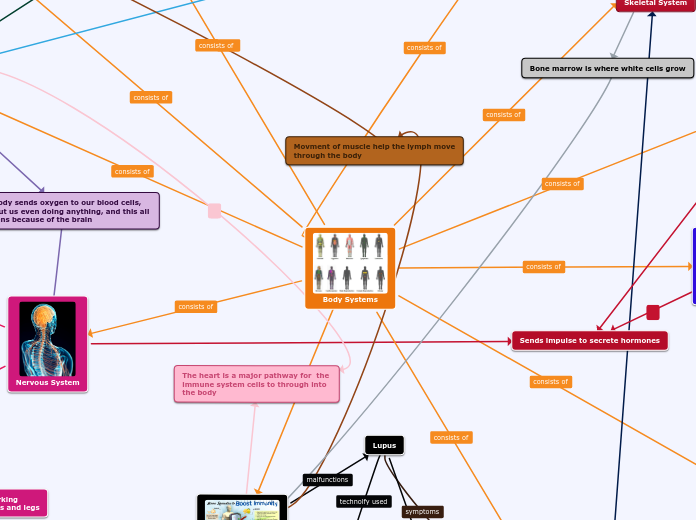 Body Systems - Mind Map