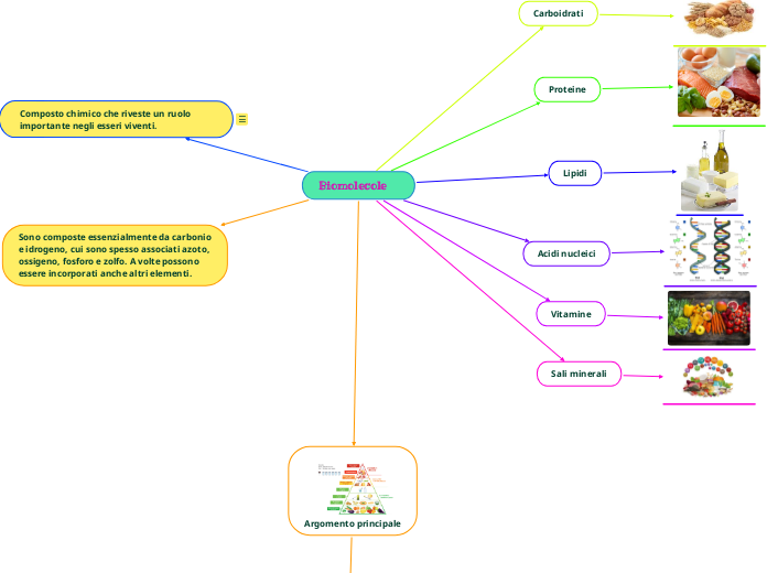 Biomolecole - Mappa Mentale