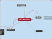 Life in Nazi Germany - Mind Map
