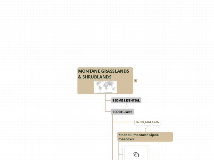 MONTANE GRASSLANDS & SHRUBLANDS - Mind Map
